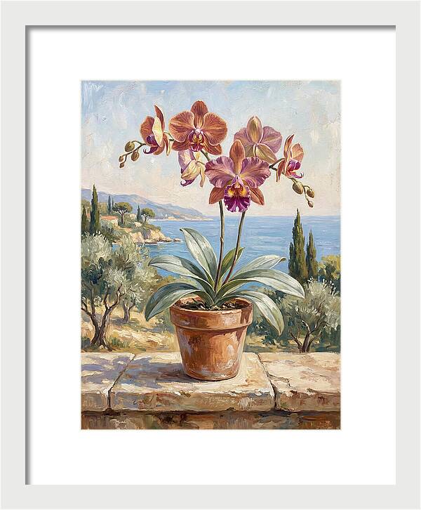Orchid By The Mediterranean