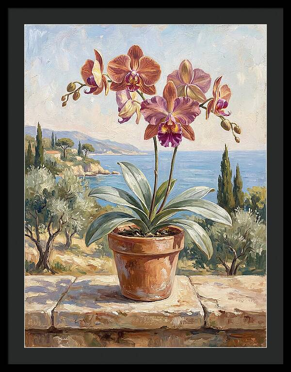 Orchid By The Mediterranean