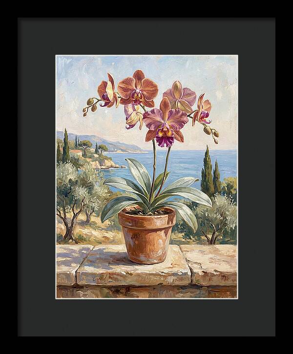 Orchid By The Mediterranean