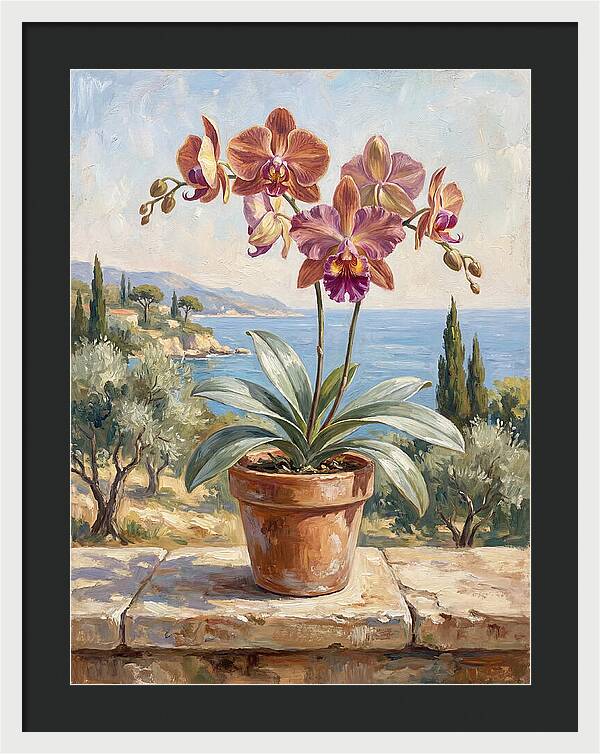 Orchid By The Mediterranean