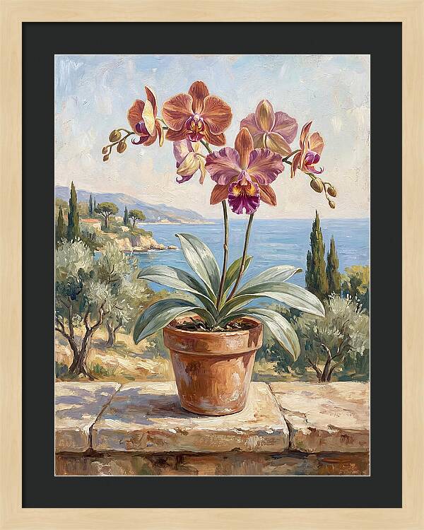 Orchid By The Mediterranean