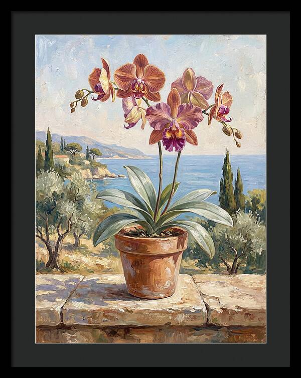 Orchid By The Mediterranean
