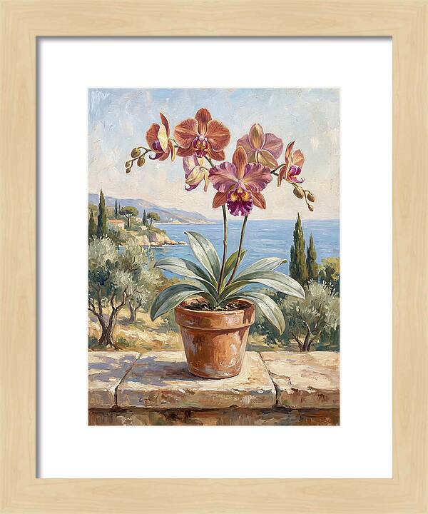 Orchid By The Mediterranean
