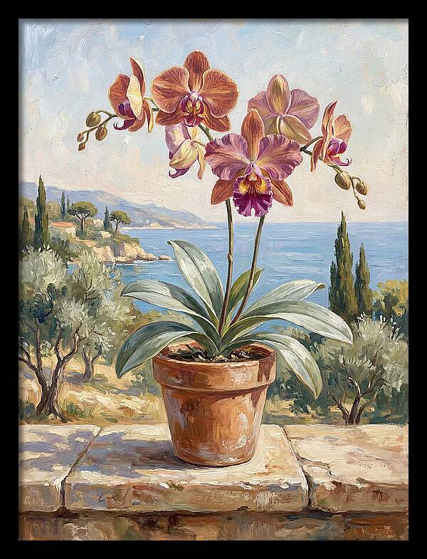 Orchid By The Mediterranean