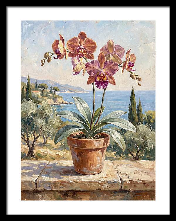 Orchid By The Mediterranean