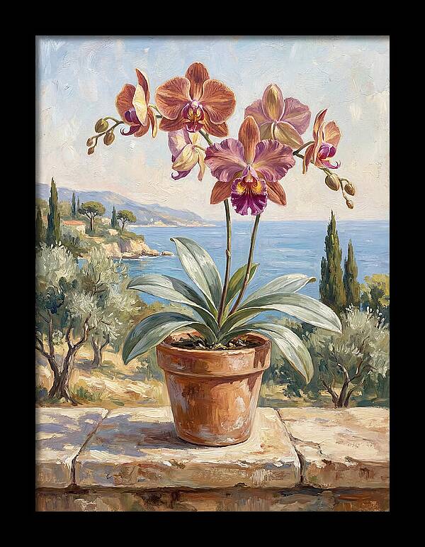 Orchid By The Mediterranean