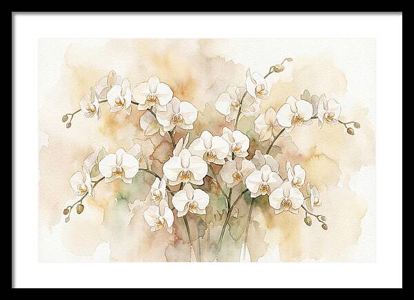 Orchid Elegance In Bloom