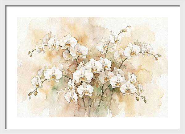 Orchid Elegance In Bloom