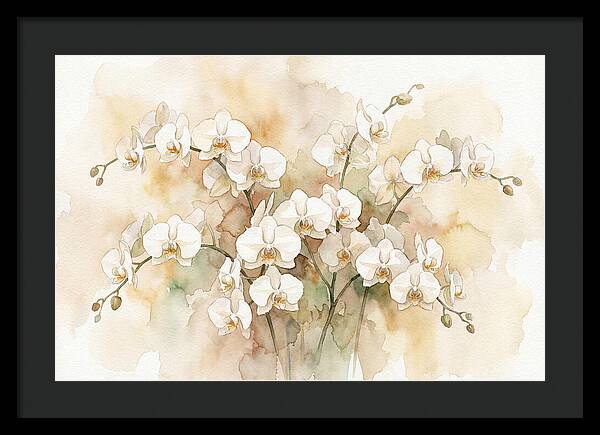 Orchid Elegance In Bloom