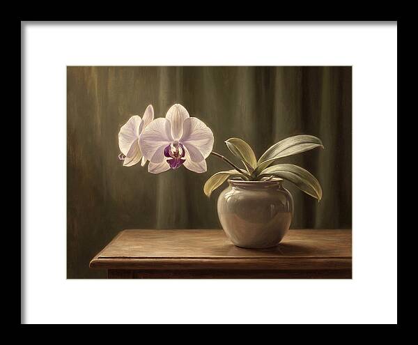 Orchid Elegance In Bloom