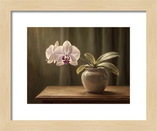 Orchid Elegance In Bloom