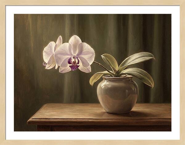 Orchid Elegance In Bloom