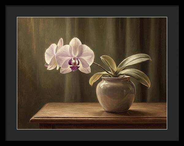 Orchid Elegance In Bloom
