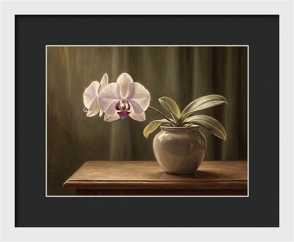 Orchid Elegance In Bloom