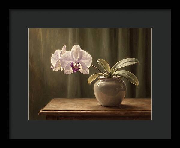 Orchid Elegance In Bloom