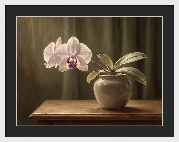 Orchid Elegance In Bloom