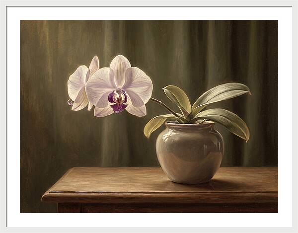 Orchid Elegance In Bloom