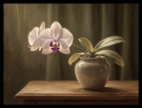 Orchid Elegance In Bloom