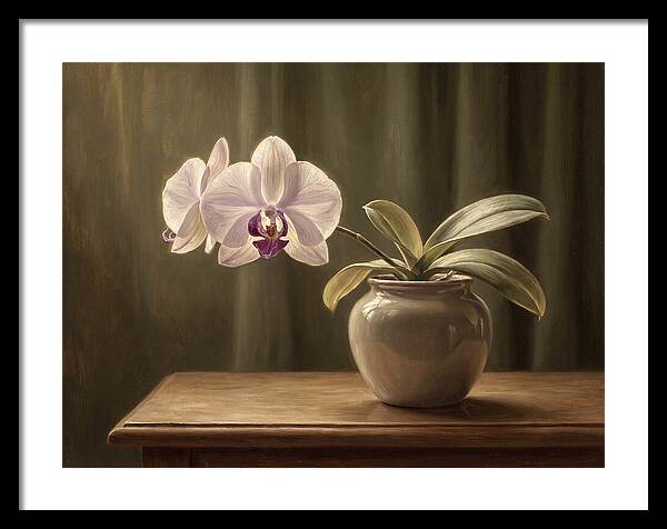 Orchid Elegance In Bloom