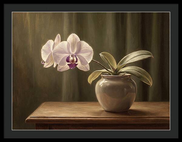 Orchid Elegance In Bloom