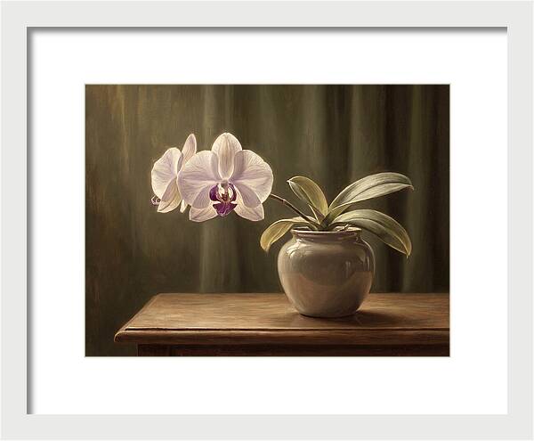 Orchid Elegance In Bloom