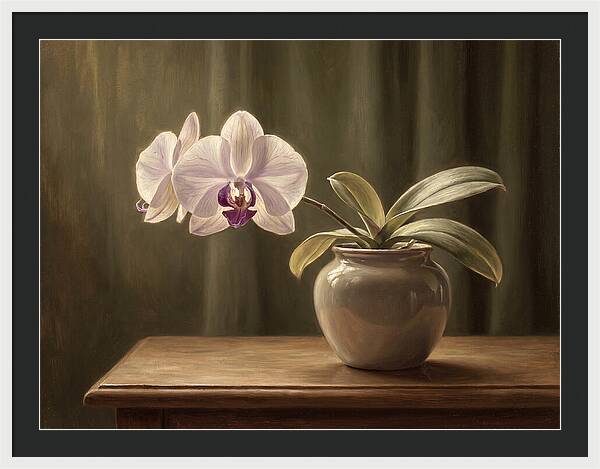 Orchid Elegance In Bloom