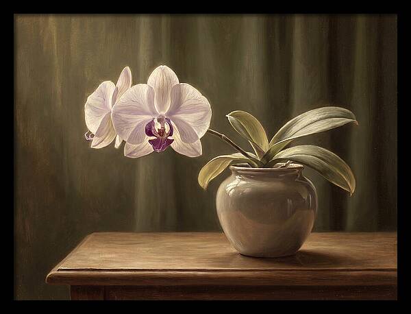 Orchid Elegance In Bloom