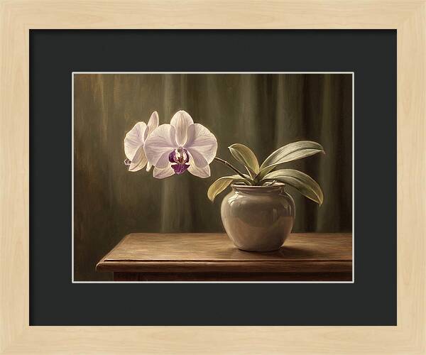 Orchid Elegance In Bloom