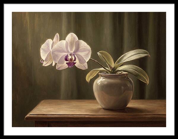 Orchid Elegance In Bloom