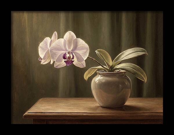 Orchid Elegance In Bloom