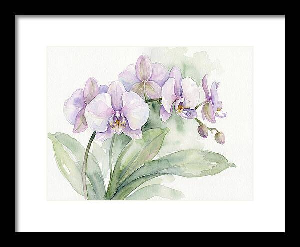 Orchid Elegance In Watercolor