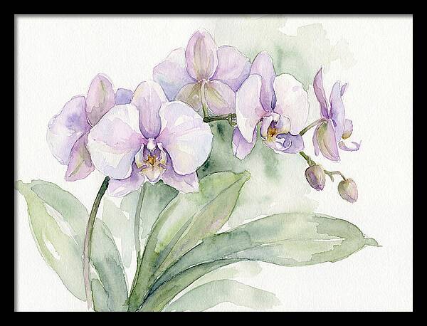 Orchid Elegance In Watercolor