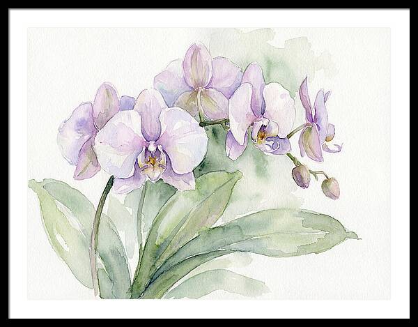 Orchid Elegance In Watercolor