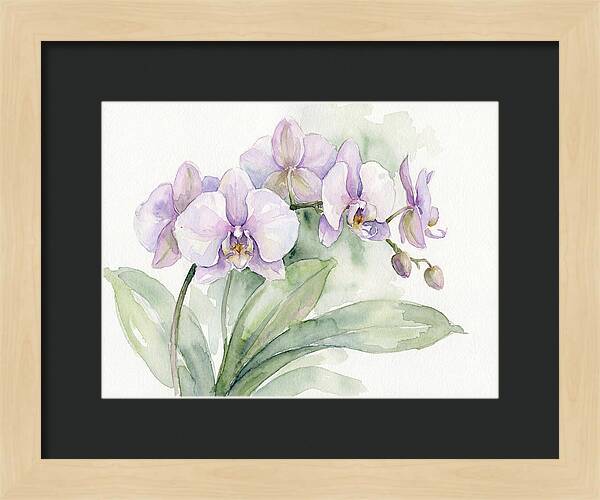 Orchid Elegance In Watercolor