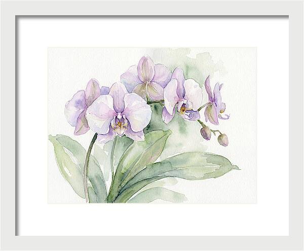 Orchid Elegance In Watercolor