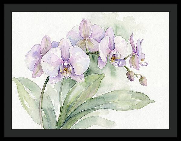 Orchid Elegance In Watercolor