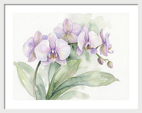 Orchid Elegance In Watercolor