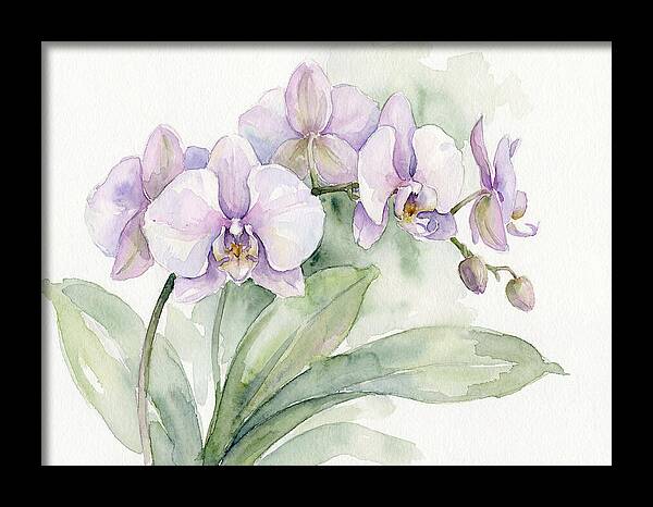 Orchid Elegance In Watercolor
