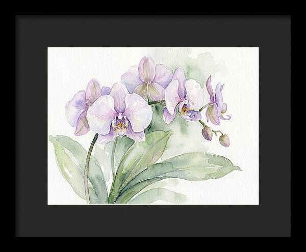 Orchid Elegance In Watercolor