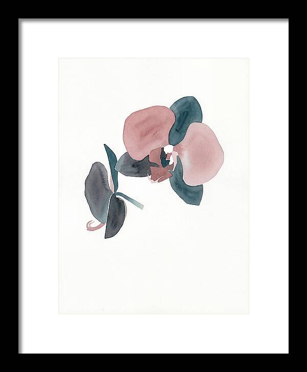 Orchid Flower Elegance