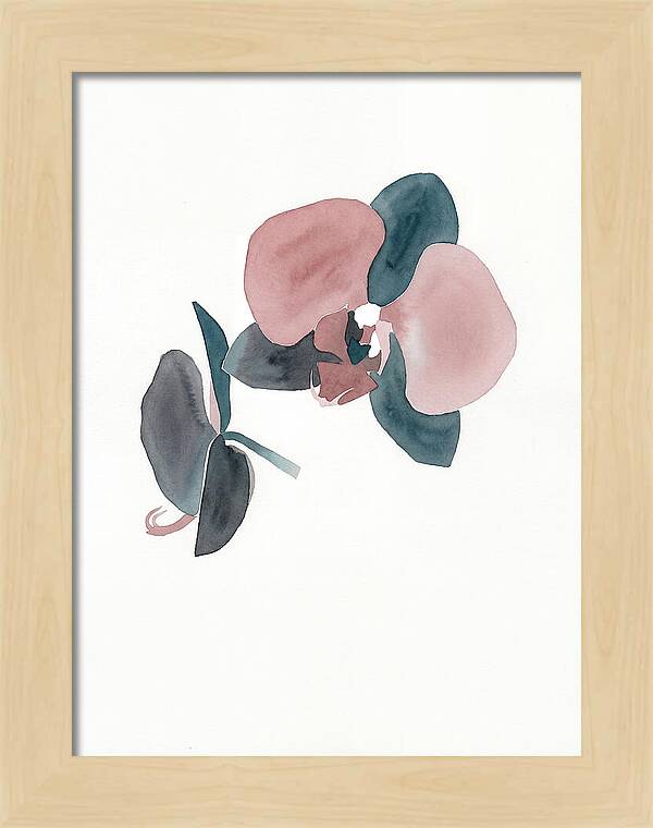 Orchid Flower Elegance