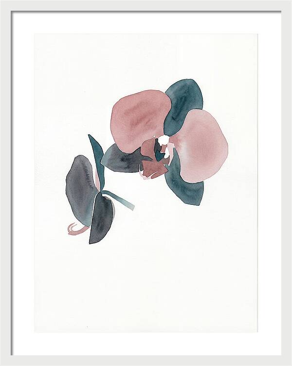 Orchid Flower Elegance