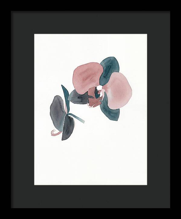 Orchid Flower Elegance