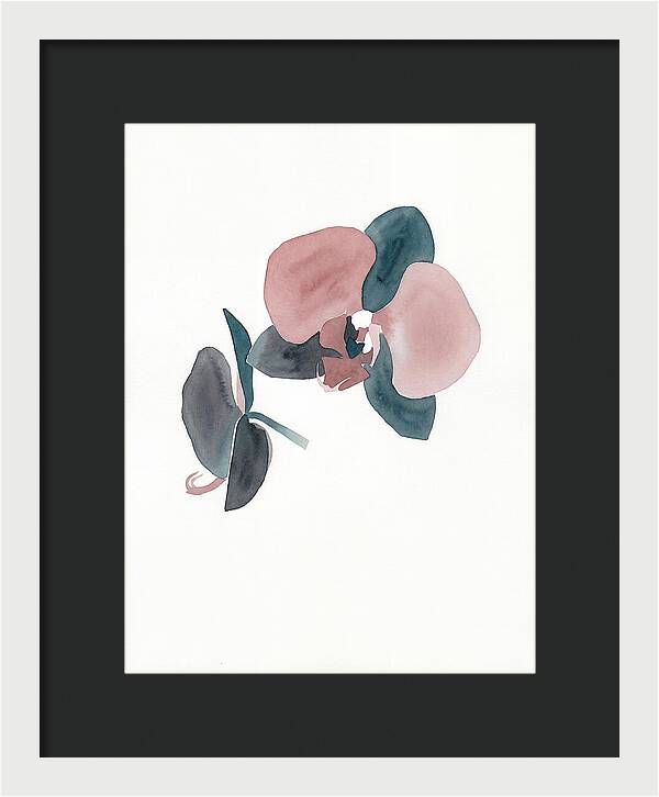 Orchid Flower Elegance