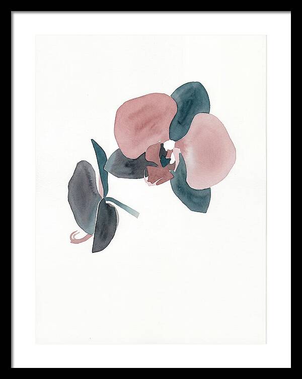 Orchid Flower Elegance