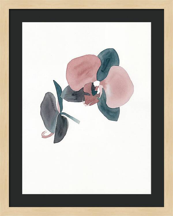 Orchid Flower Elegance