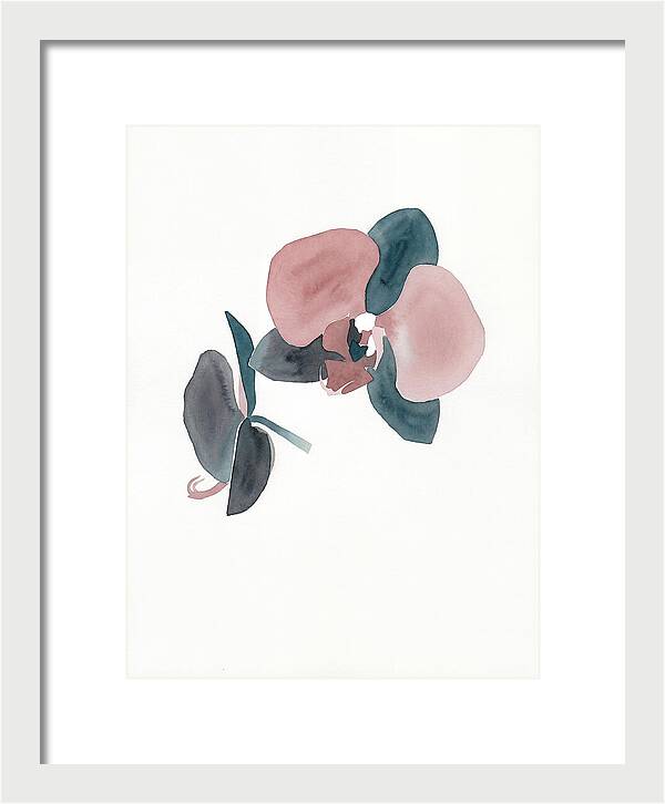 Orchid Flower Elegance