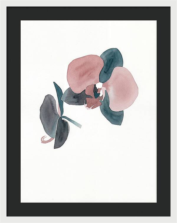 Orchid Flower Elegance
