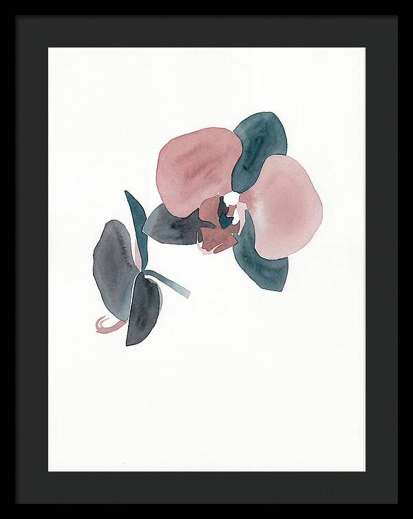 Orchid Flower Elegance