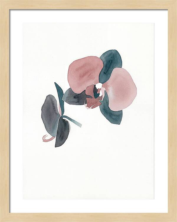 Orchid Flower Elegance